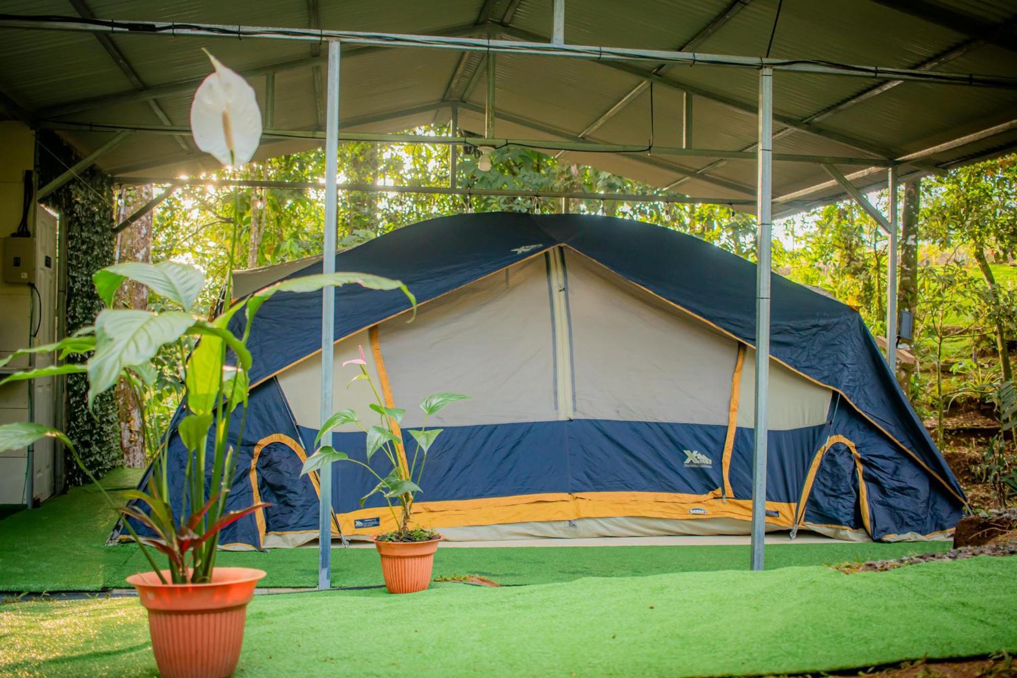 Venecia Villa Campo'S מראה חיצוני תמונה
